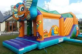 Bugs Obstacle Course Hire Mallow